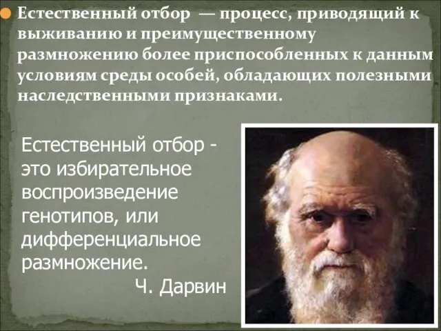 Естественный отбор — процесс, приводящий к выживанию и преимущественному размножению более