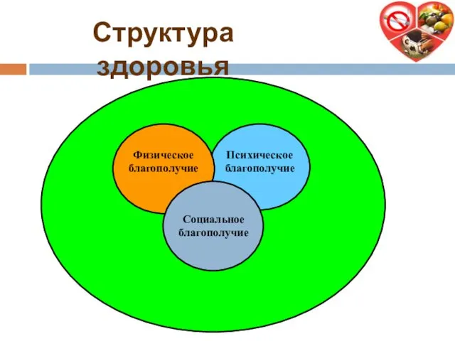 Физическое благополучие Психическое благополучие Социальное благополучие Структура здоровья ЗДОРОВЬЕ