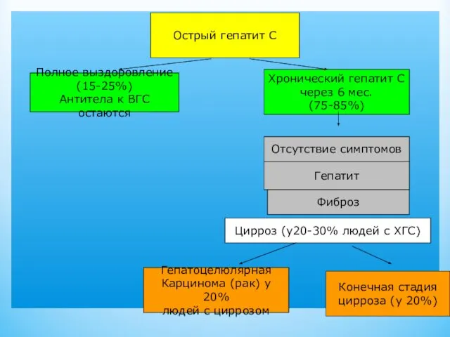 Острый гепатит С Полное выздоровление (15-25%) Антитела к ВГС остаются Хронический