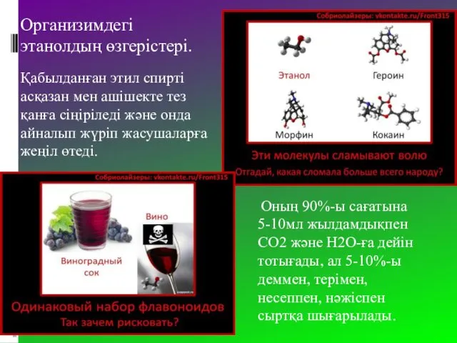 Организимдегі этанолдың өзгерістері. Қабылданған этил спирті асқазан мен ашішекте тез қанға