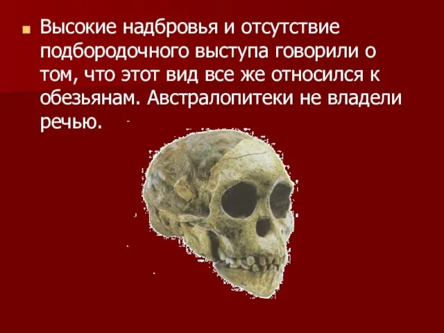 Высокие надбровья и отсутствие подбородочного выступа говорили о том, что этот