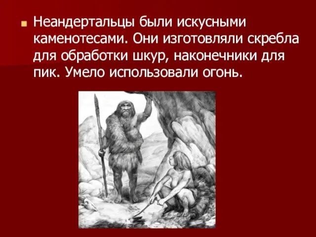 Неандертальцы были искусными каменотесами. Они изготовляли скребла для обработки шкур, наконечники для пик. Умело использовали огонь.