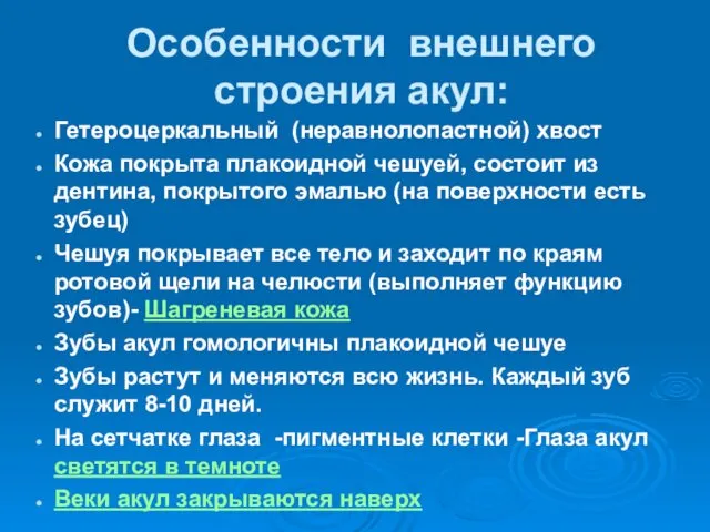 Особенности внешнего строения акул: Гетероцеркальный (неравнолопастной) хвост Кожа покрыта плакоидной чешуей,