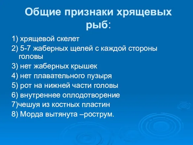 Общие признаки хрящевых рыб: 1) хрящевой скелет 2) 5-7 жаберных щелей