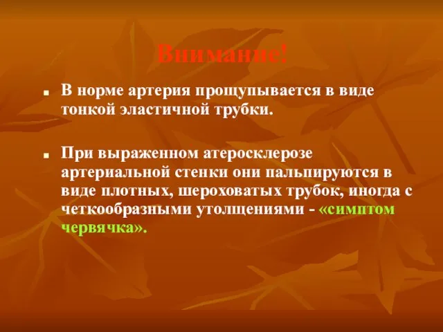 Внимание! В норме артерия прощупывается в виде тонкой эластичной трубки. При