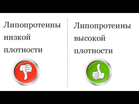 Липопротеины низкой плотности Липопротеины высокой плотности