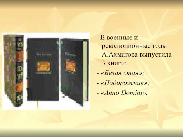 В военные и революционные годы А.Ахматова выпустила 3 книги: - «Белая