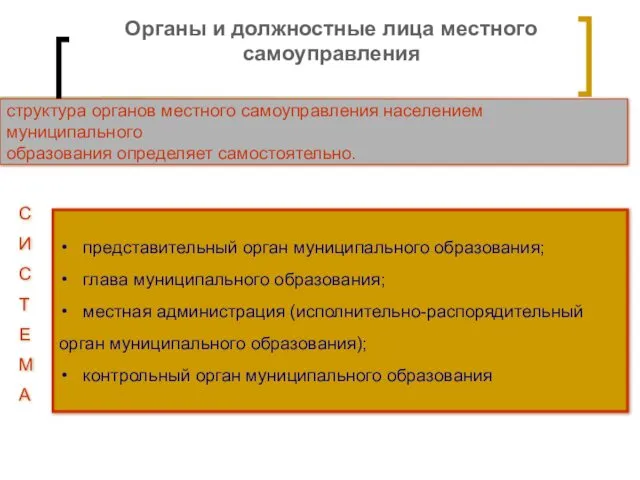 Органы и должностные лица местного самоуправления структура органов местного самоуправления населением