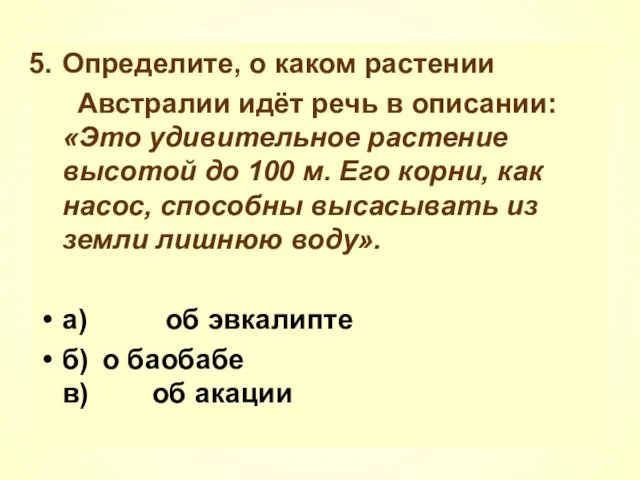 Определите, о каком растении Австралии идёт речь в описании: «Это удивительное