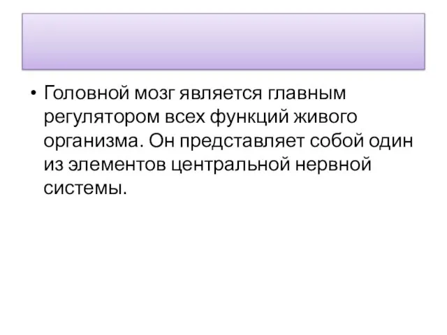 Головной мозг является главным регулятором всех функций живого организма. Он представляет