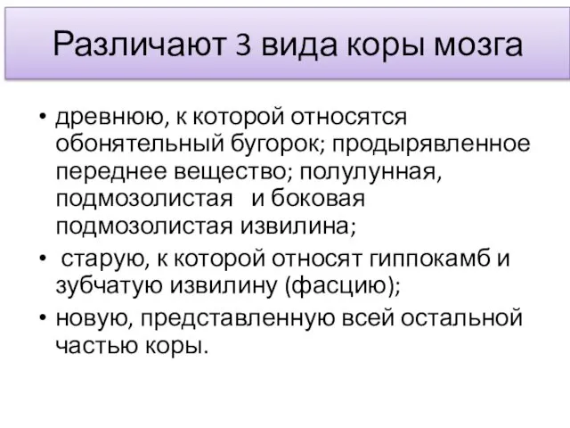 Различают 3 вида коры мозга древнюю, к которой относятся обонятельный бугорок;