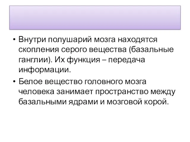 Внутри полушарий мозга находятся скопления серого вещества (базальные ганглии). Их функция