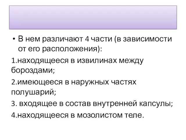 В нем различают 4 части (в зависимости от его расположения): 1.находящееся