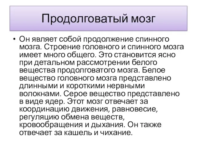 Продолговатый мозг Он являет собой продолжение спинного мозга. Строение головного и