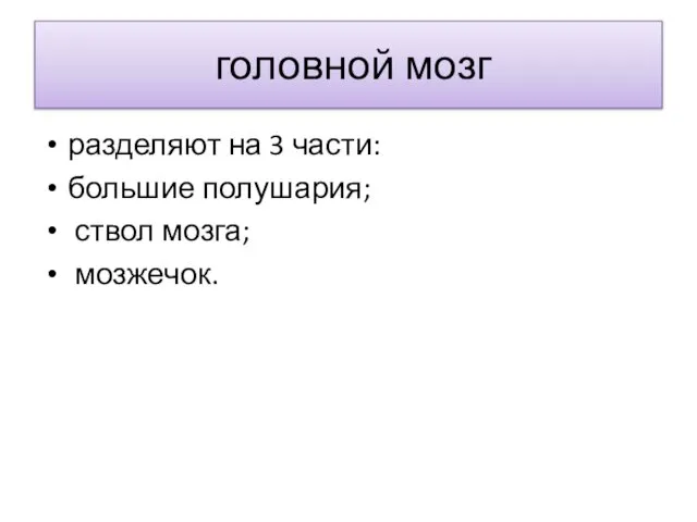 головной мозг разделяют на 3 части: большие полушария; ствол мозга; мозжечок.