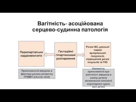 Вагітність- асоційована серцево-судинна патологія Гестаційні гіпертензивні ускладнення Ризик ІХС, ранньої тяжкої