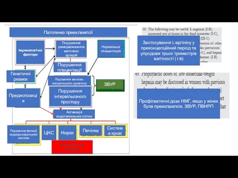 Патогенез прееклампсії Нормальна плацентація Порушення матково-плацентарного кровотоку ЗВУР Предиспозиція Порушення ремоделювання