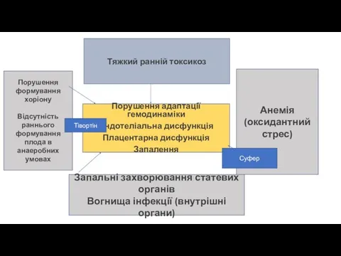 Порушення адаптації гемодинаміки Ендотеліальна дисфункція Плацентарна дисфункція Запалення Порушення формування хоріону