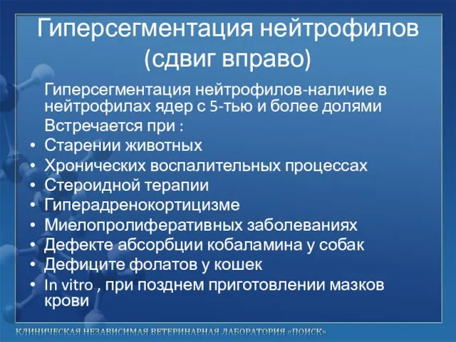 Гиперсегментация нейтрофилов (сдвиг вправо) Гиперсегментация нейтрофилов-наличие в нейтрофилах ядер с 5-тью