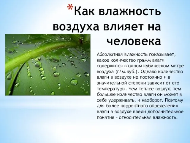 Как влажность воздуха влияет на человека Абсолютная влажность показывает, какое количество