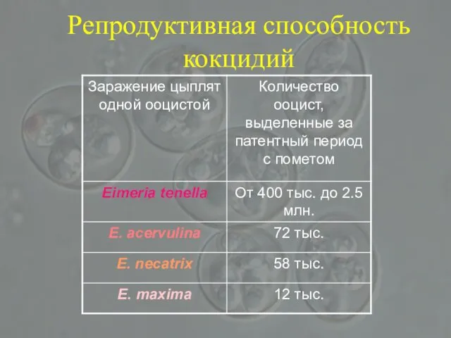 Репродуктивная способность кокцидий