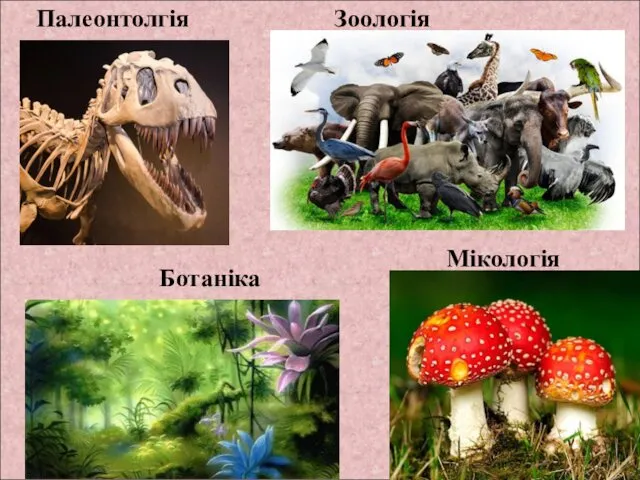 Палеонтолгія Зоологія Ботаніка Мікологія