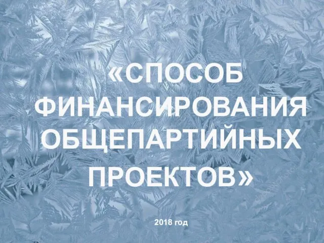 «СПОСОБ ФИНАНСИРОВАНИЯ ОБЩЕПАРТИЙНЫХ ПРОЕКТОВ» 2018 год