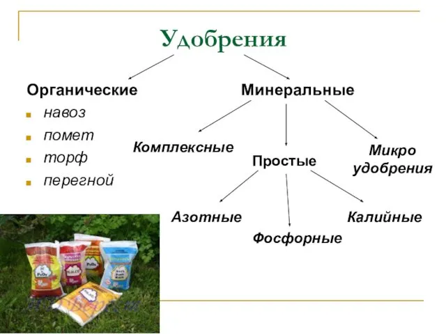 Удобрения Органические навоз помет торф перегной Минеральные Азотные Фосфорные Калийные Комплексные Микро удобрения Простые