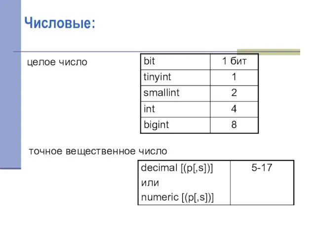 Числовые: целое число точное вещественное число