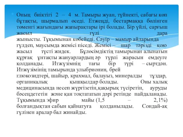 Оның биіктігі 2 – 4 м. Тамыры жуан, түйнекті, сабағы көп