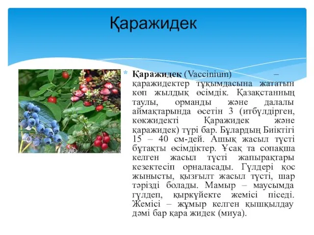 Қаражидек (Vaccіnіum) – қаражидектер тұқымдасына жататын көп жылдық өсімдік. Қазақстанның таулы,