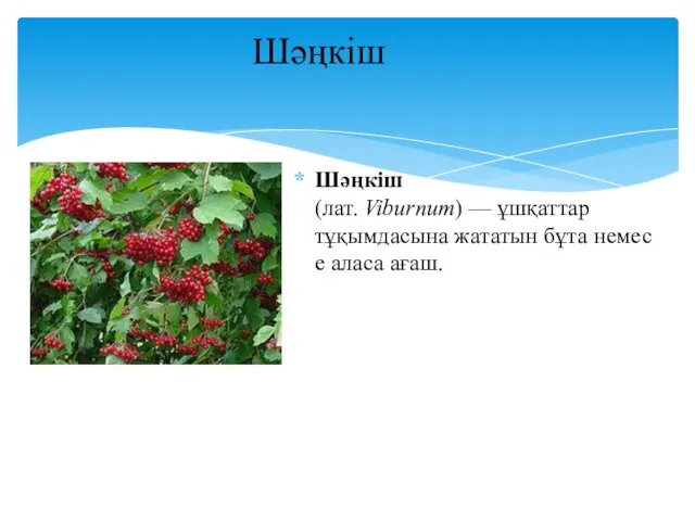 Шәңкіш(лат. Viburnum) — ұшқаттар тұқымдасына жататын бұта немесе аласа ағаш. Шәңкіш
