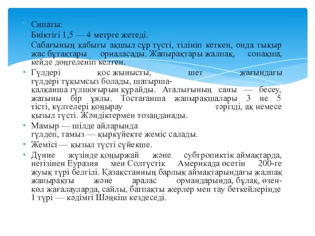 Сипаты: Биіктігі 1,5 — 4 метрге жетеді. Сабағының қабығы ақшыл сұр