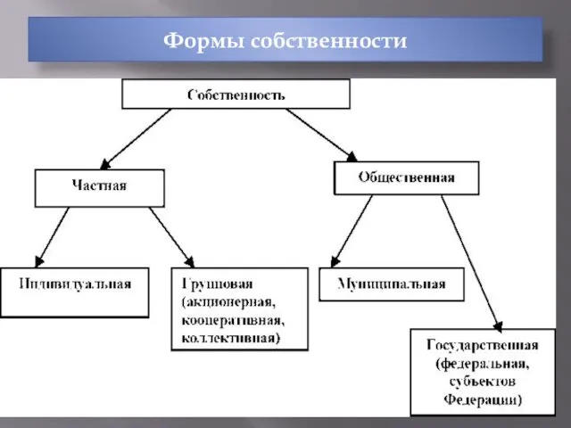 Формы собственности