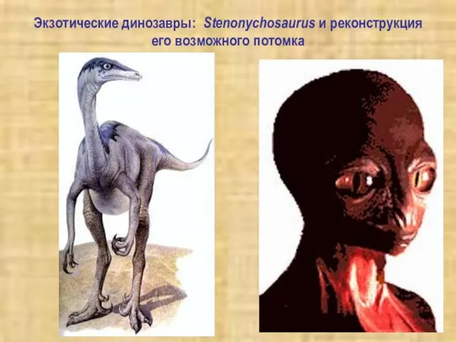 Экзотические динозавры: Stenonychosaurus и реконструкция его возможного потомка