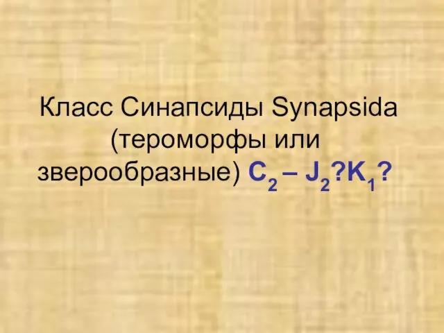 Класс Синапсиды Synapsida (тероморфы или зверообразные) C2 – J2?K1?