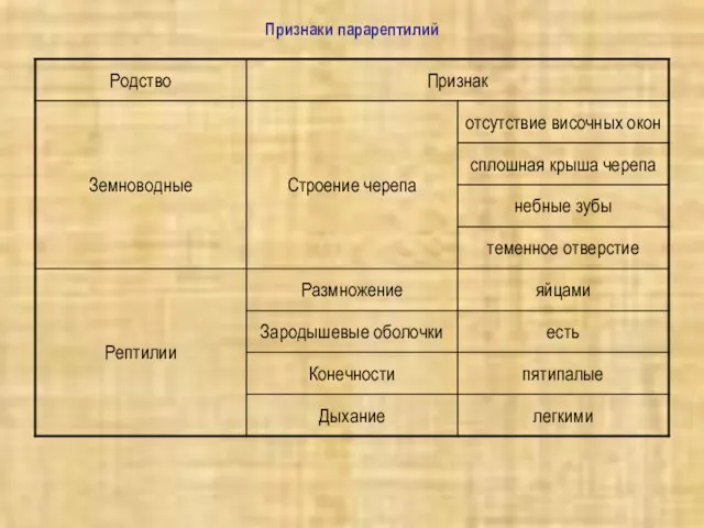 Признаки парарептилий