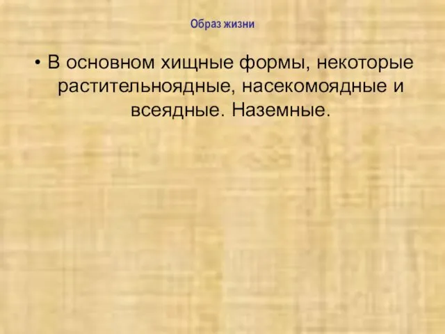 Образ жизни В основном хищные формы, некоторые растительноядные, насекомоядные и всеядные. Наземные.