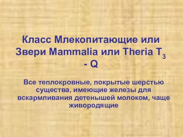 Класс Млекопитающие или Звери Mammalia или Theria T3 - Q Все