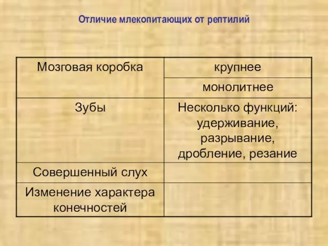 Отличие млекопитающих от рептилий