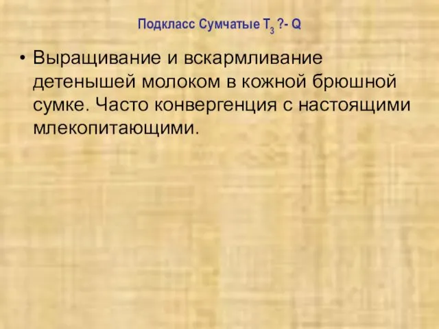 Подкласс Сумчатые T3 ?- Q Выращивание и вскармливание детенышей молоком в