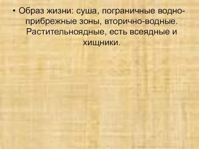 Образ жизни: суша, пограничные водно-прибрежные зоны, вторично-водные. Растительноядные, есть всеядные и хищники.