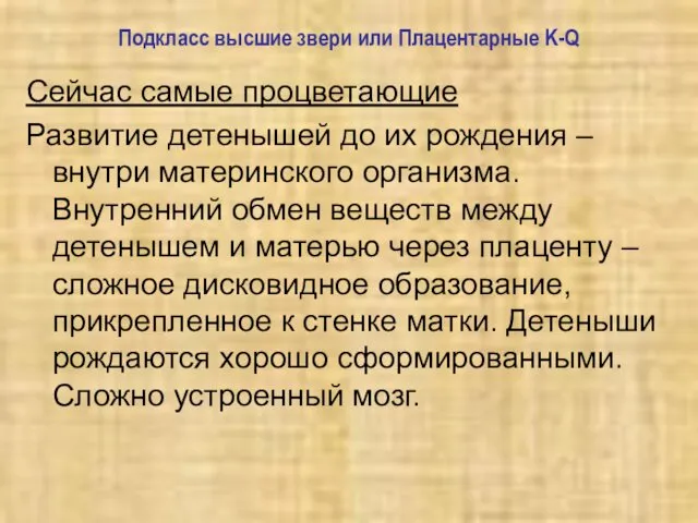 Подкласс высшие звери или Плацентарные K-Q Сейчас самые процветающие Развитие детенышей