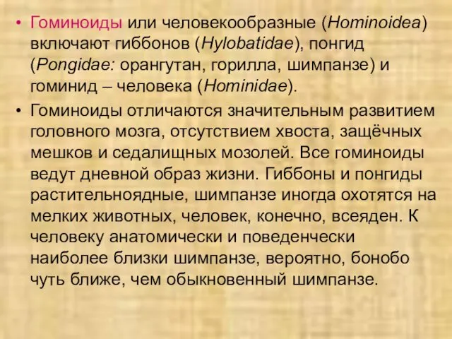 Гоминоиды или человекообразные (Hominoidea) включают гиббонов (Hylobatidae), понгид (Pongidae: орангутан, горилла,