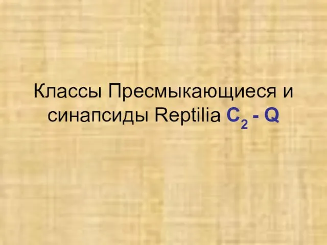 Классы Пресмыкающиеся и синапсиды Reptilia C2 - Q