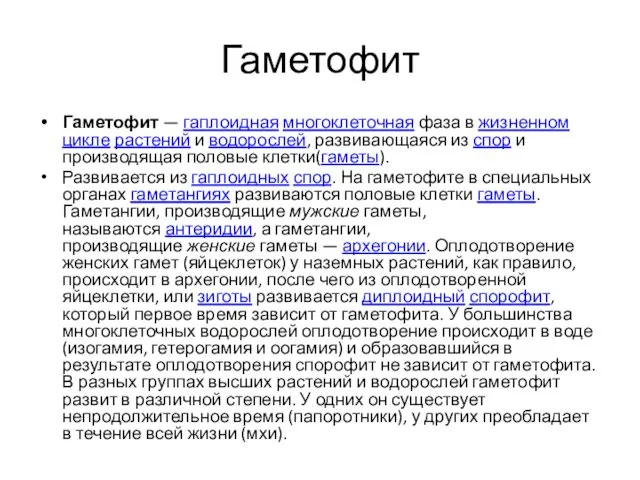 Гаметофит Гаметофит — гаплоидная многоклеточная фаза в жизненном цикле растений и