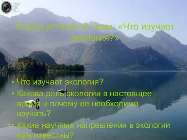 Опрос устный по теме: «Что изучает экология?» Что изучает экология? Какова