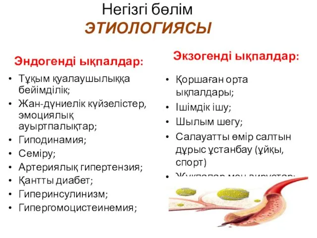 Негізгі бөлім ЭТИОЛОГИЯСЫ Эндогенді ықпалдар: Тұқым қуалаушылыққа бейімділік; Жан-дүниелік күйзелістер,эмоциялық ауыртпалықтар;