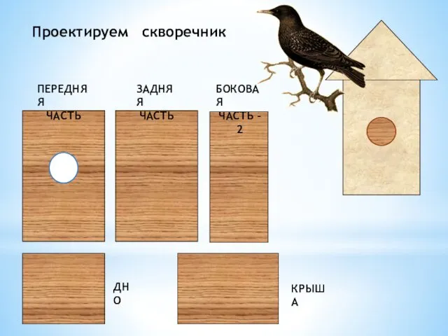 ПЕРЕДНЯЯ ЧАСТЬ ЗАДНЯЯ ЧАСТЬ БОКОВАЯ ЧАСТЬ - 2 ДНО КРЫША Проектируем скворечник