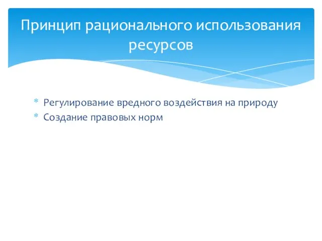 Принцип рационального использования ресурсов Регулирование вредного воздействия на природу Создание правовых норм